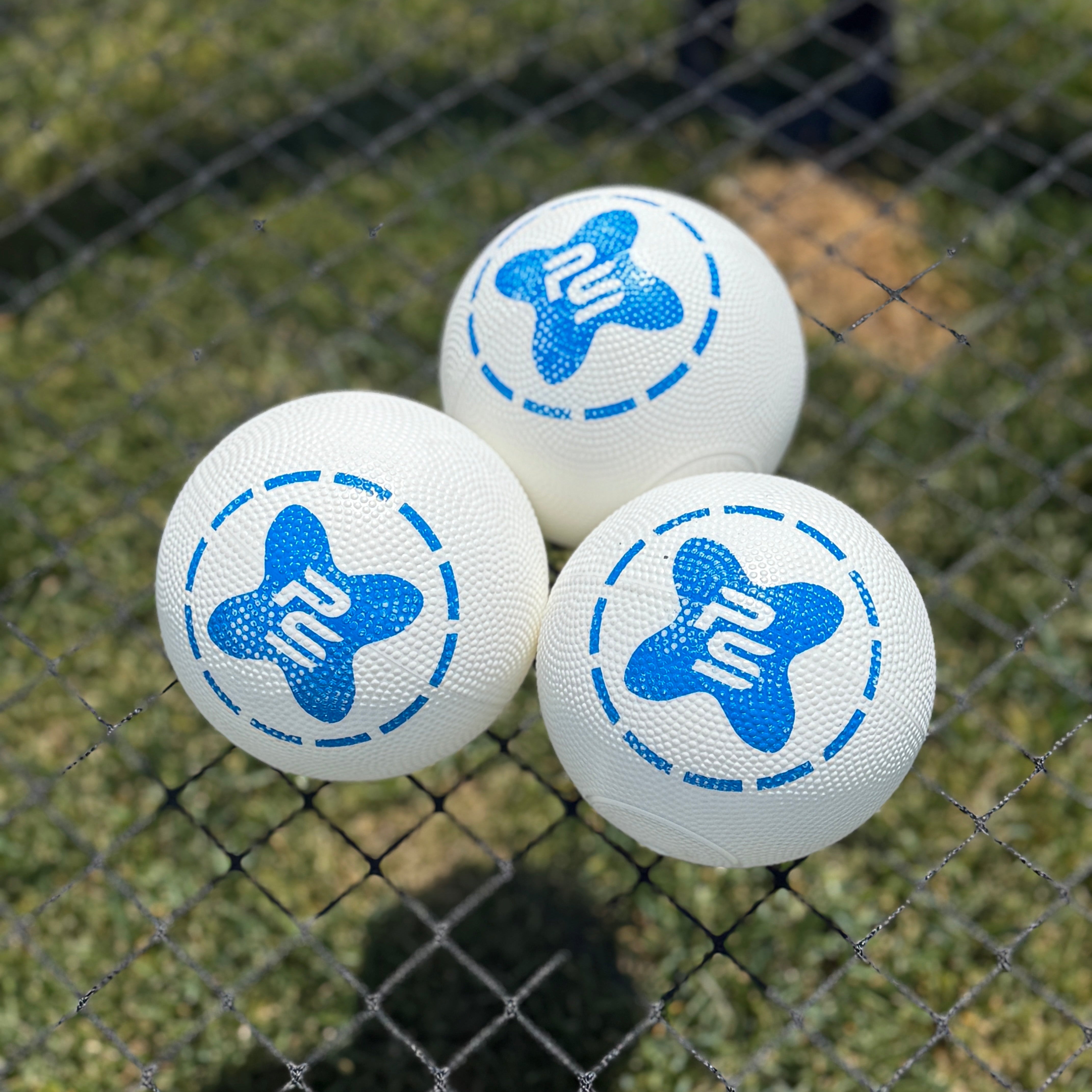 Big Spikeball from Premier Spike
