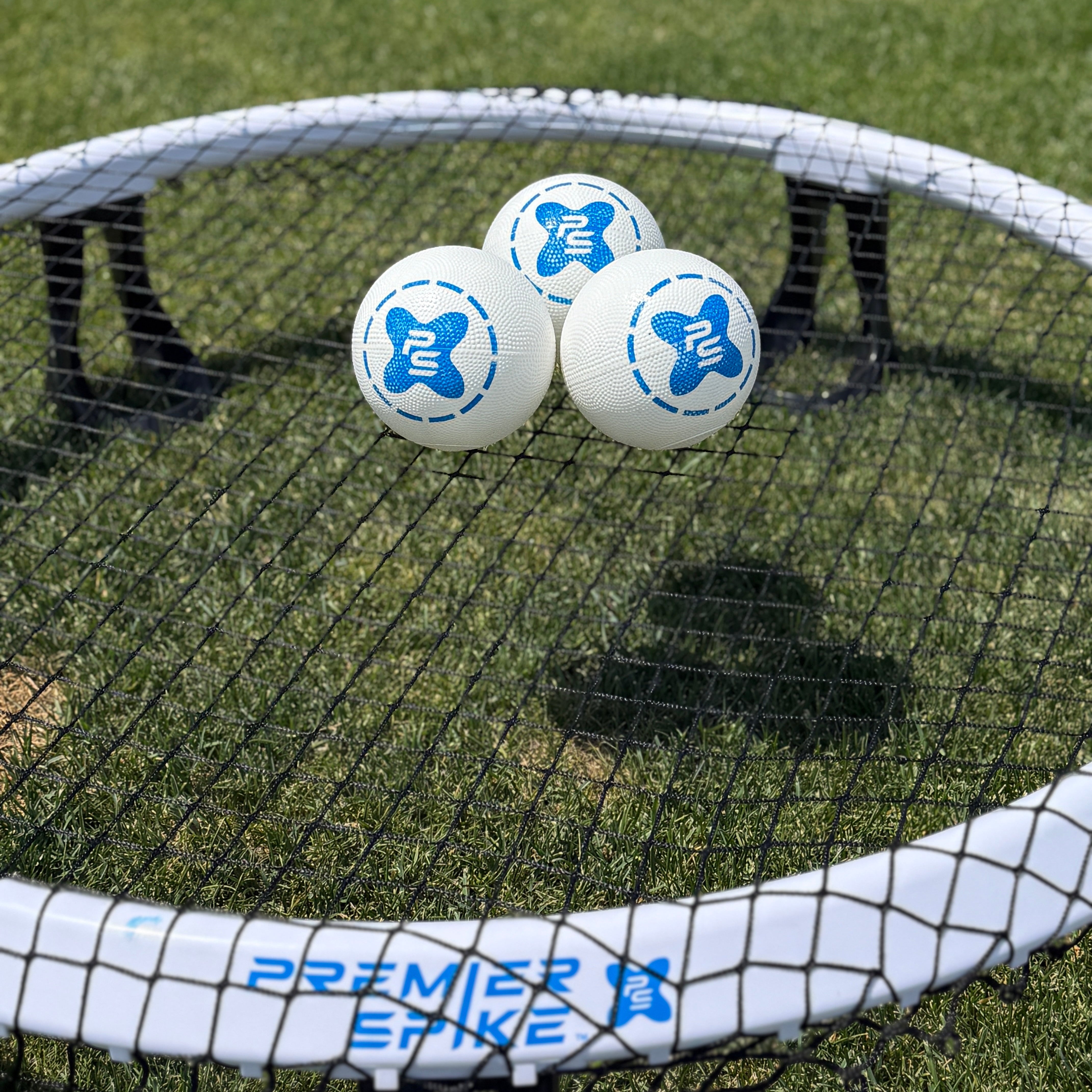 Big Spikeballs on Premier Spike Net