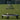 Premier Spike on turf fields