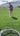 roundnet serving line spikeball